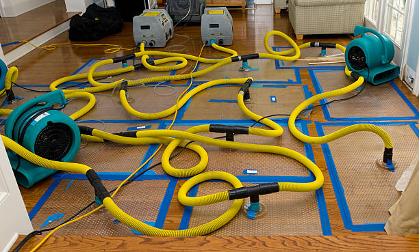 Professional Water Damage Restoration technician working in Isleton, CA